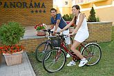 Nolleggio di bici al Premium hotel Panorama Siofok a lago Balaton in Ungheria