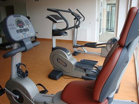 Sala fitness a Zsambek, all'Hotel Szepia Bio Art - pacchetti wellness a prezzi vantaggiosi