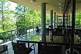 Wellness Hotel Gyula**** terrazza del ristorante e caffetteria