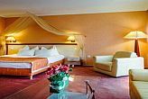 Elegante hotel benessere a Cserkeszolo 4* Aqua-Spa Wellness Hotel