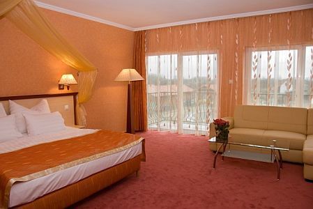 Camera d'albergo gratuita a Cserkeszolo nell'Aqua-Spa Hotel****