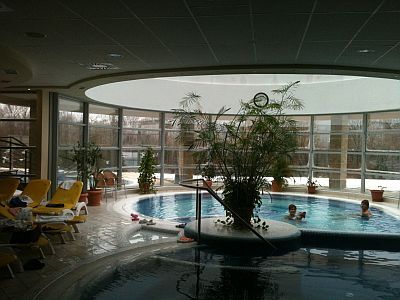 Piscina termale con acqua termale nel Thermal Hotel Visegrad