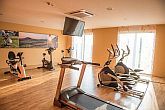 Jufa Vulkan Hotel 4* sala fitness in mezza pensione