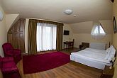 Vinum Hotel Kiskőrös - offerte delle azioni con mezza pensione