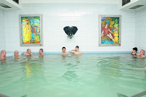 Fine settimana wellness - piscina termale all'hotel termale Liget di Erd